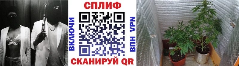OMG ссылка  Омутнинск  МАРИХУАНА White Widow 